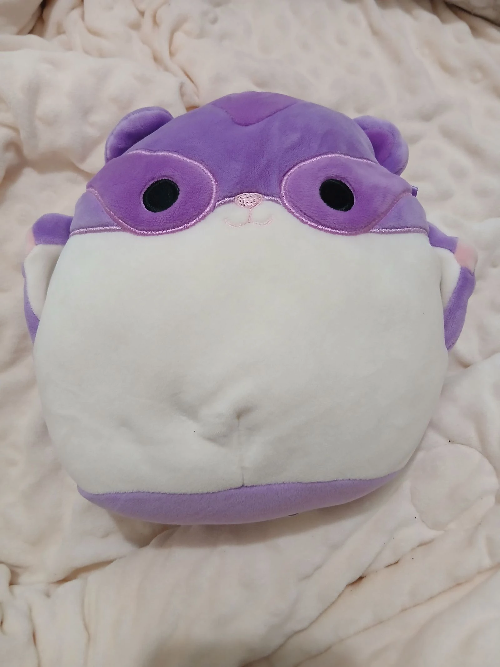 Peluche squishmallow écureuil volant